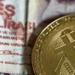 Bitcoin y Altcoins sobrevivieron a la tormenta: Éstas son las más esperadas y las que más suben