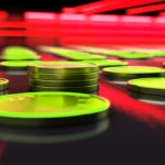 Atención a Estos Dos Días: ¡El precio del Bitcoin puede verse afectado!