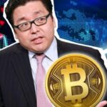 ¡BitMEX responde a las duras críticas de Gold Bug sobre Bitcoin!