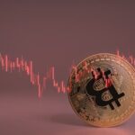 ¿Qué es Dusk Coin? Reseñas sobre el futuro de Dusk Network y 2024