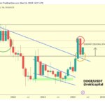 Este altcoin anuncia una nueva cadena de bloques: Token Price Skyrockets!